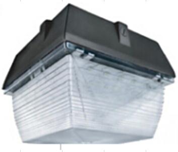 30W Ceiling  Pack lights
